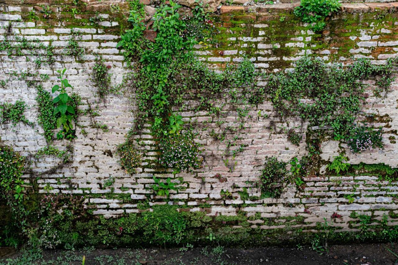 Casa Montana Hotel Chichicastenango Eksteriør bilde